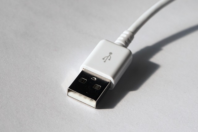 Gros plan sur la prise d'un câble USB-A, un connecteur courant pour divers appareils et complémentaire à l'écosystème du câble USB-C.