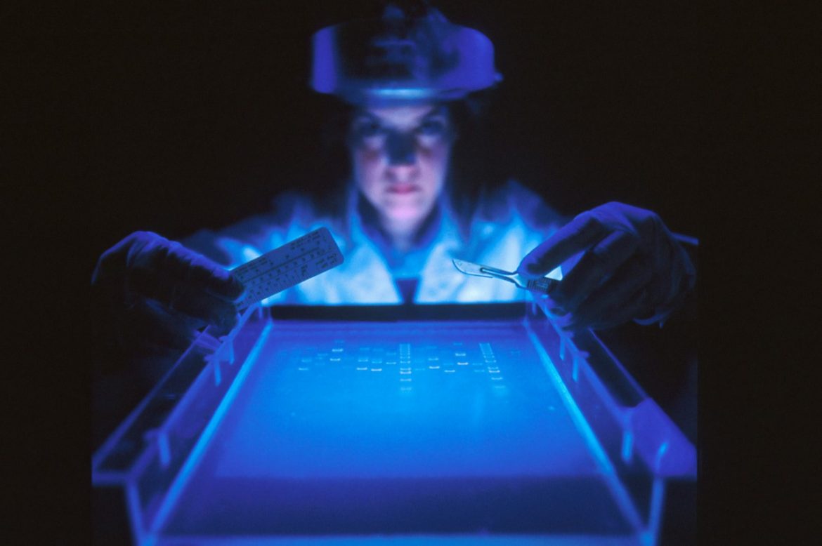 Gros plan d'un chercheur analysant un gel d'électrophorèse sous lumière UV, une technique de laboratoire que l'intelligence artificielle médicale aide à analyser.